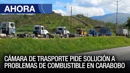 Cámara de trasporte de Carabobo pide solución a problemas de combustible – 30May – Ahora