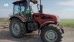 Как фермеры в Украине собирают урожай "градов" и "ураганов"