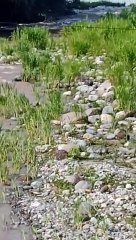 Balsa con migrantes vuelca en Río Suchiate