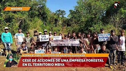 Cese de acciones de una empresa forestal en el territorio mbya