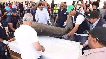 Gigantesco descubrimiento arqueológico en Egipto