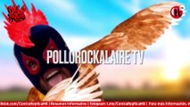Pollo Rock al Aire, 30 de Mayo de 2022.
