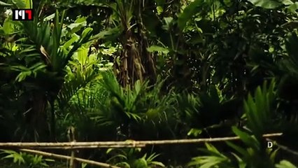 NGERI BANGET !! PENAMPAKAN & ASAL-USUL KUNTILANAK YANG SEBENARNYA