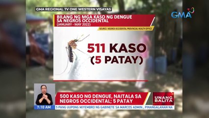500 kaso ng dengue, naitala sa Negros Occidental; 5 patay | UB