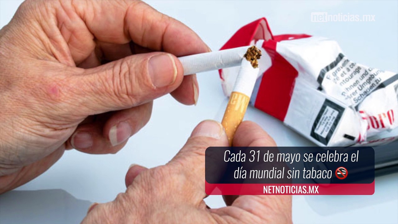 Día mundial sin tabaco 