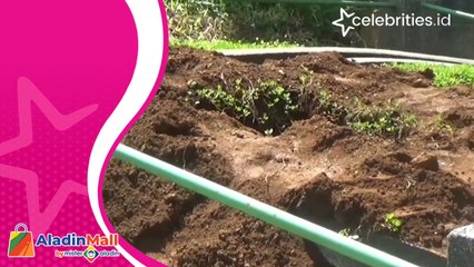 Diduga Incar Barang Berharga, Enam Makam Tua Dibongkar di Sumedang