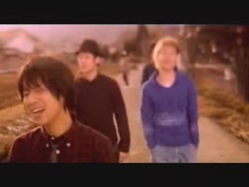 ONE DAY THE LOOSE DOGS