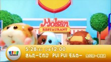 それいけ！アンパンマン[字] #1317,1318　2022年5月31日P1