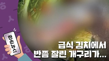 [한손뉴스] "네가 왜 거기서 나와?" 급식 김치에서 '반쯤 잘린 개구리'가... / YTN