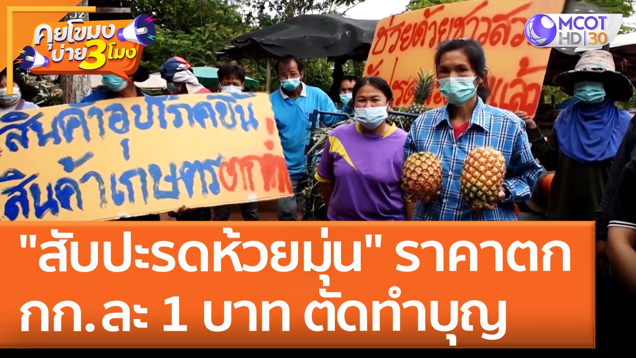 "สับปะรดห้วยมุ่น" ราคาตก กก.ละ 1 บาท ตัดทำบุญ (...