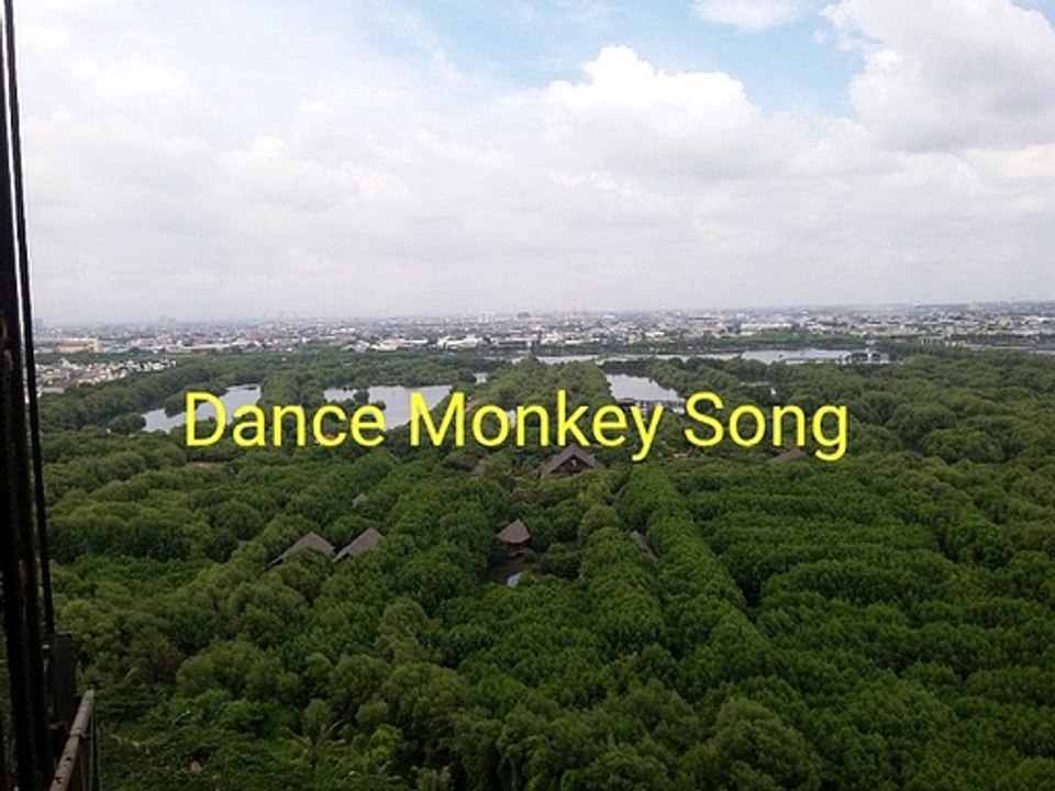 Dance Monkey Original Song