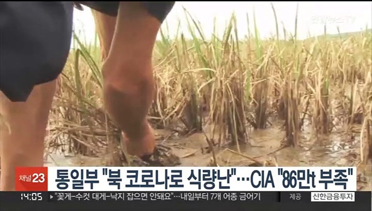 통일부 "북 코로나로 식량난"…CIA "2~3개월치 86만t 부족"