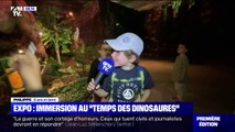 Immersion au 'temps des dinosaures