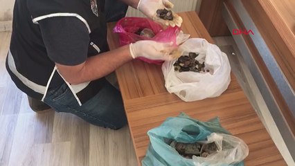 Ankara 38 ilde 'Miras' operasyonu