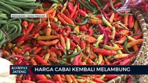 Harga Cabai di Pasar Tradisional Kota Semarang Kembali Melambung