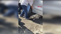Aracı kaldırarak altında sıkışan köpeği kurtardılar