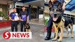 Good boy, Chulio! Police dog given medal for finding missing man