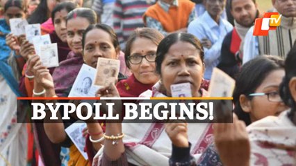 Brajarajnagar Bypoll: Voting Begins, 32% Polling Till 11 AM