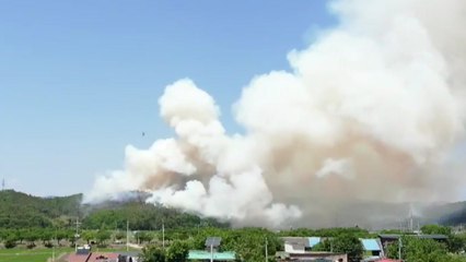 대구 달성군 야산에 불...헬기 5대 투입 진화 중 / YTN