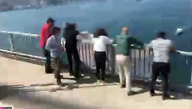 TİP milletvekilleri 15 Temmuz Köprüsü'ne Gezi pankartı astı