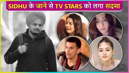 Stars Pays Tribute To Sidhu Moose Wala | Prince Narula, Urfi Javed, Gauahar Khan, Shehnaaz Gill