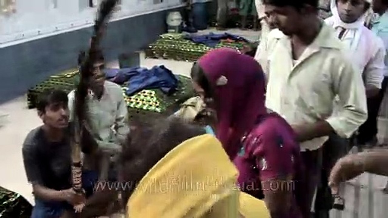 Inside Peer Baba's Dargah