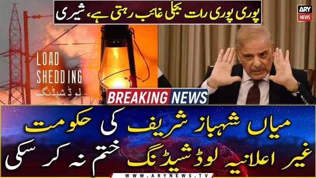 Mian Shehbaz Sharif's govt could not end unannounced load-shedding
