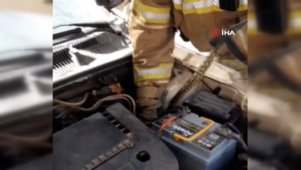 Yılanı girdiği araçtan itfaiye ekipleri çıkardı