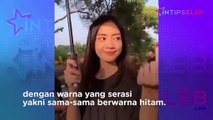 HEBOH! Video Jonathan Frizzy dan Ririn Dwi Ariyanti Berduaan