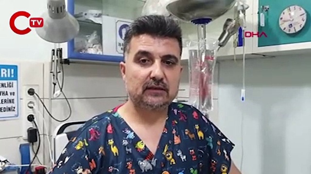 Sahile vuran 'balon balıklarını' yiyen 11 kedi zehirlendi