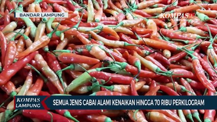 Harga Cabai Meroket hingga 70 Ribu Per Kilogram