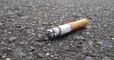 L'OMS dévoile les graves conséquences de l'industrie du tabac sur notre environnement