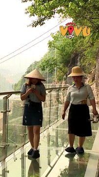 Bỏ qua những lời tranh cãi trong nước cầu kính Mộc Châu được báo quốc tế đánh giá cao