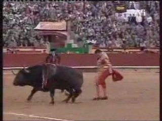 BARBARIE, HORREUR DES CORRIDAS MACHISTES des tares