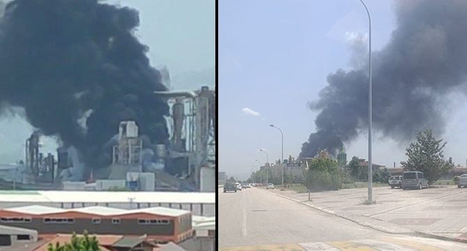 Orman ürünleri fabrikasında patlama: Ölü ve yaralılar var