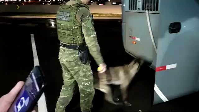 BPFron apreende quase 16 quilos de maconha e prende mulher em ônibus de linha em Umuarama