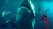 BLOOD IN THE WATER Teaser (2022) Shark Swimming Pool Horror