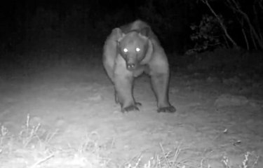 BURDUR'DA İKİNCİ BOZAYI SÜRPRİZİ