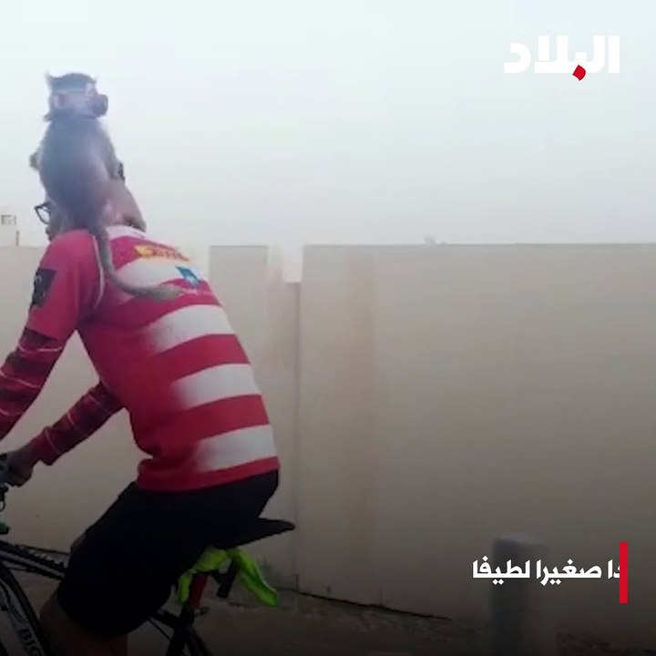 بحريني يمارس الرياضة حاملا قردا صغيرا