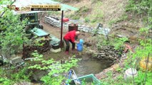 88세 조춘의 건강 비결★ 약초 소금을 활용법 공개 TV CHOSUN 220531 방송