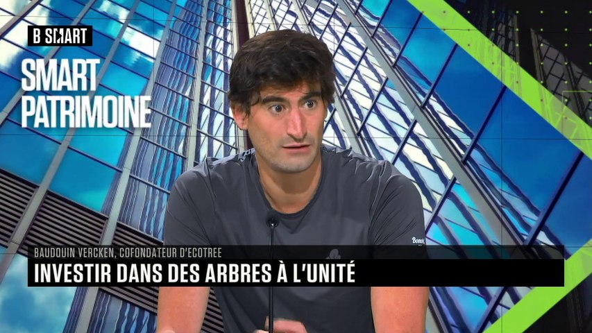 Investir dans des arbres à l'unité ? 
