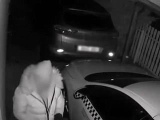 Ladrão tenta assaltar um carro mas é derrotado pela resistência vidro