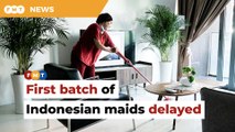 3-week training delays arrival of Indonesian maids, says envoy