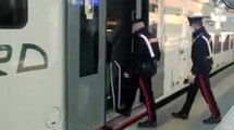 Monza - Studente aggredito sul treno per Saronno: arrestato un 20enne (31.05.22)