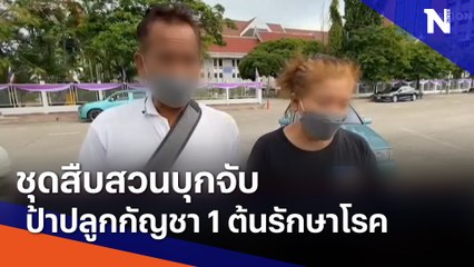 ชุดสืบสวนบุกจับป้าปลูกกัญชา 1 ต้นรักษาโรค | เนชั่นทันข่าวค่ำ | NationTV22