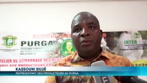 Korhogo : l'Etat offre 4 milliards pour soutenir la filière coton