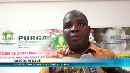 Korhogo : l'Etat offre 4 milliards pour soutenir la filière coton