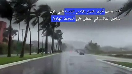 Descargar video: إعصار أغاتا يضرب المنتجعات الساحلية المكسيكية في المحيط الهادئ