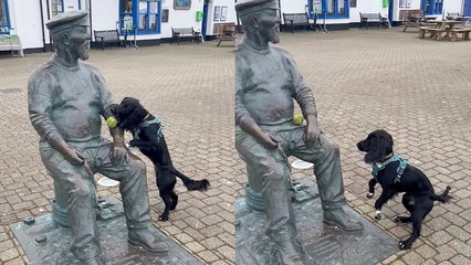 ''Yankee Jack' statue in Watchet doesn’t want to play ball with dog '