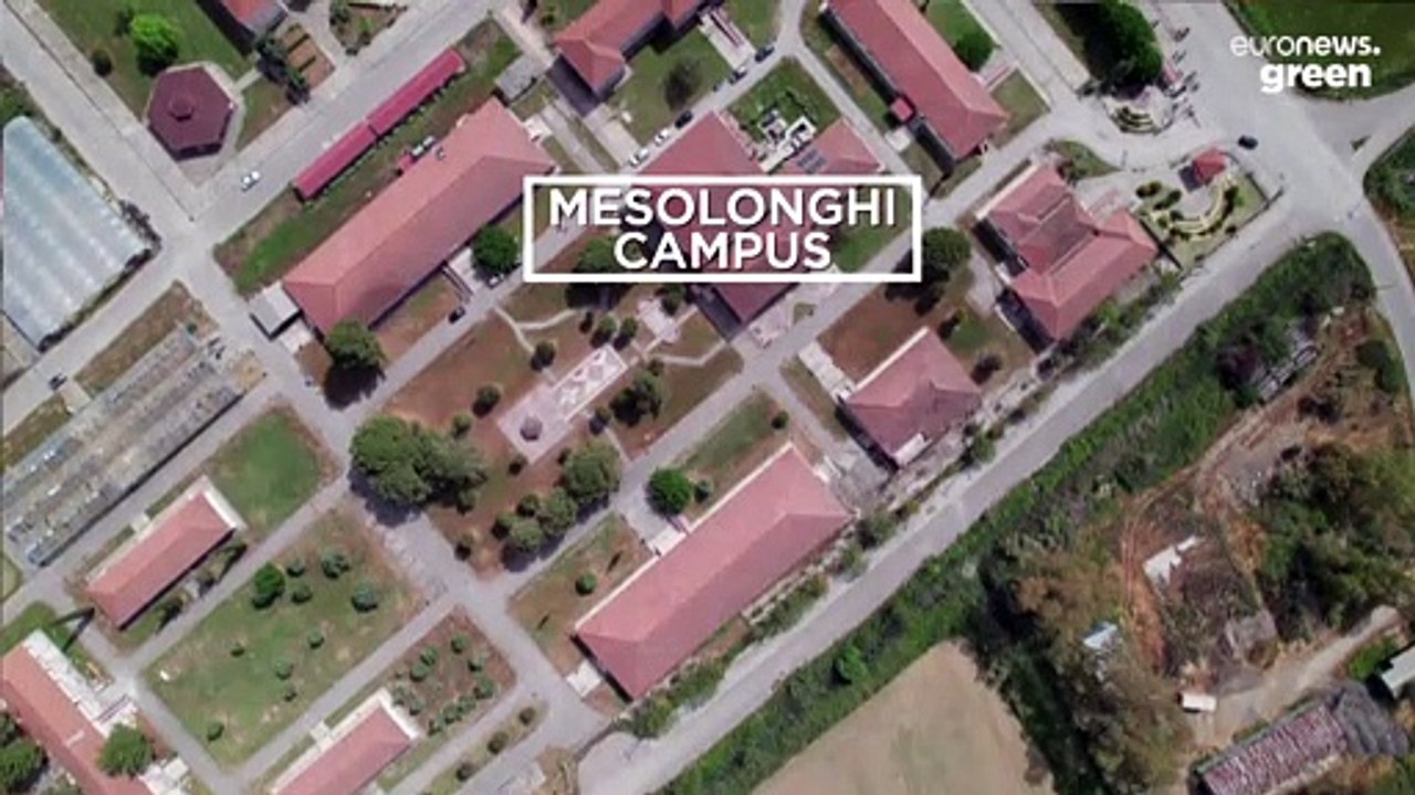 Fremde Arten im Mittelmeer: Bedrohung und Chancen